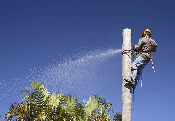 Soil Testing and Treatment